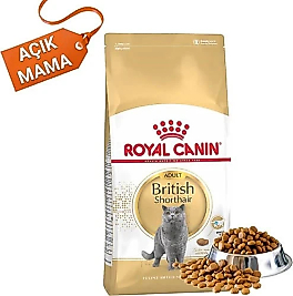 Royal Canin British Shorthair Yetişkin Kedi Maması 2 kg