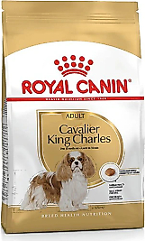 Royal Canin Cavalier King Charles 3 kg Yetişkin Köpek Maması