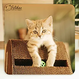 Felidae Kedi Tırmalama Kanepesi – Dikey Tırmalama CS7 - Large (Dark Wood)