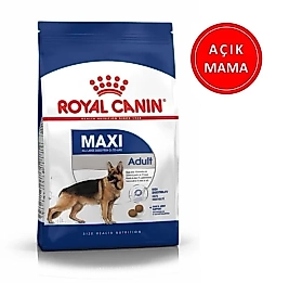 Royal Canin Maxi Adult Büyük Irk Yetişkin Köpek Maması 4 kg