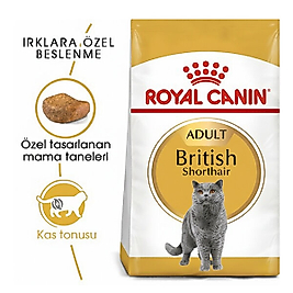 Royal Canin British Shorthair 2 kg Yetişkin Kedi Maması
