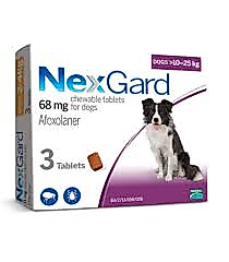 Nexgard (10 – 25 Kg) Köpekler için 1 Kutu